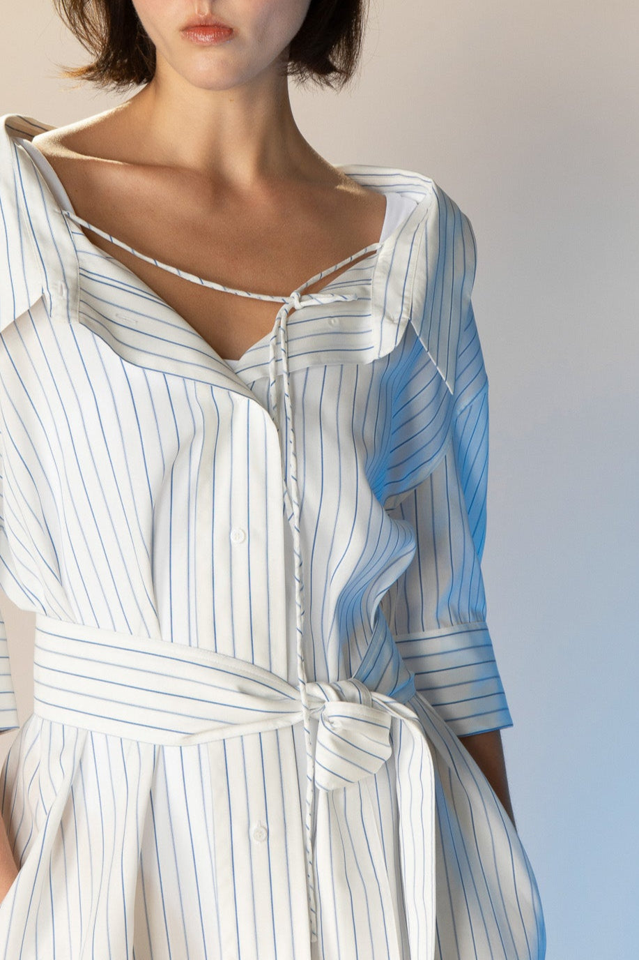 Alex Chelsea Shirtdress